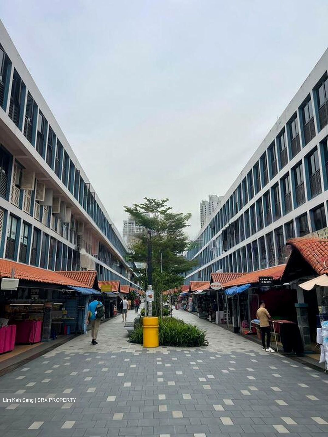 Toa Payoh Central (D12), Shop House #466552571